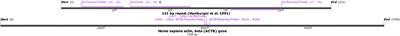 A Real-Time PCR Assay for the Diagnosis of Intestinal Schistosomiasis and Cure Assessment After the Treatment  of Individuals With Low Parasite Burden